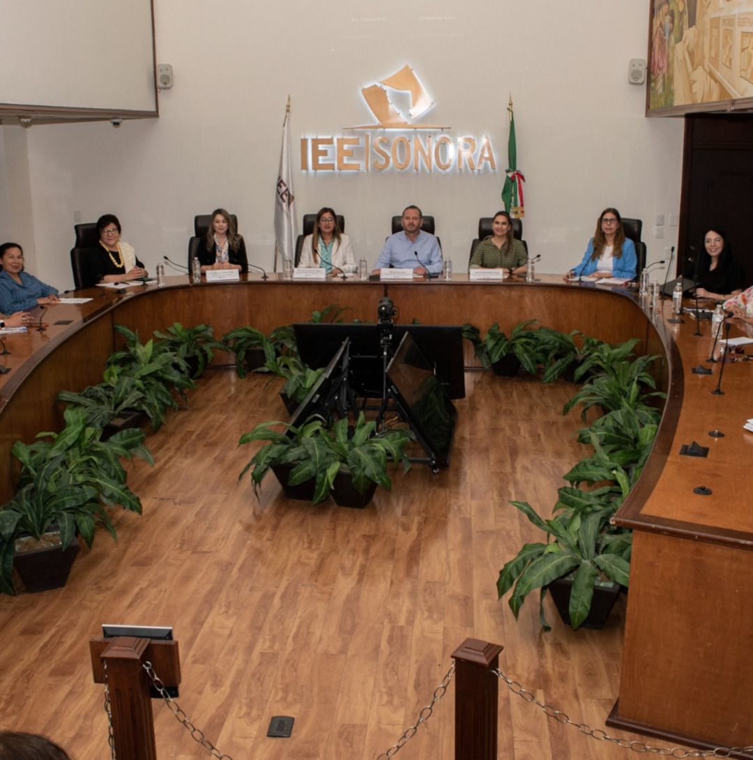 Participan Presidenta y Secretaria General del TEE Sonora en reunión del Grupo de Trabajo contra la Violencia Política de Género